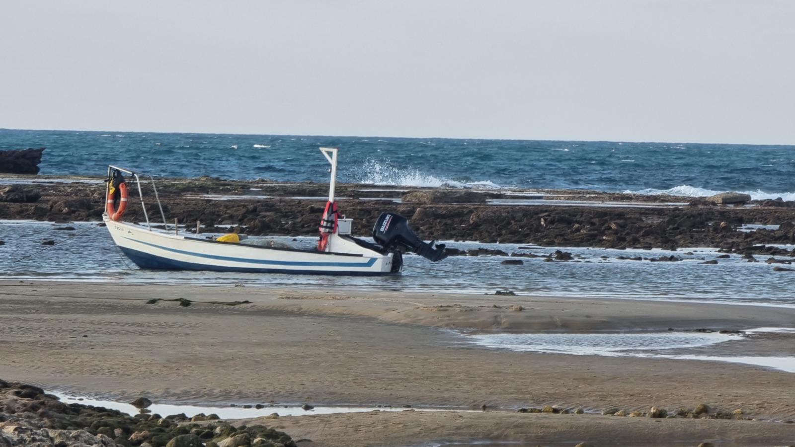 WhatsApp Image 2023-02-20 at 5.53.59 PM (20).jpeg